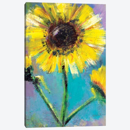 Sunflowers Canvas Print #MFE23} by Michele Pulver Feldman Art Print