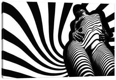 Zebra Absorption Canvas Art Print - Mikhail Faletkin