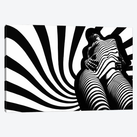 Zebra Absorption Canvas Print #MFT51} by Mikhail Faletkin Canvas Print
