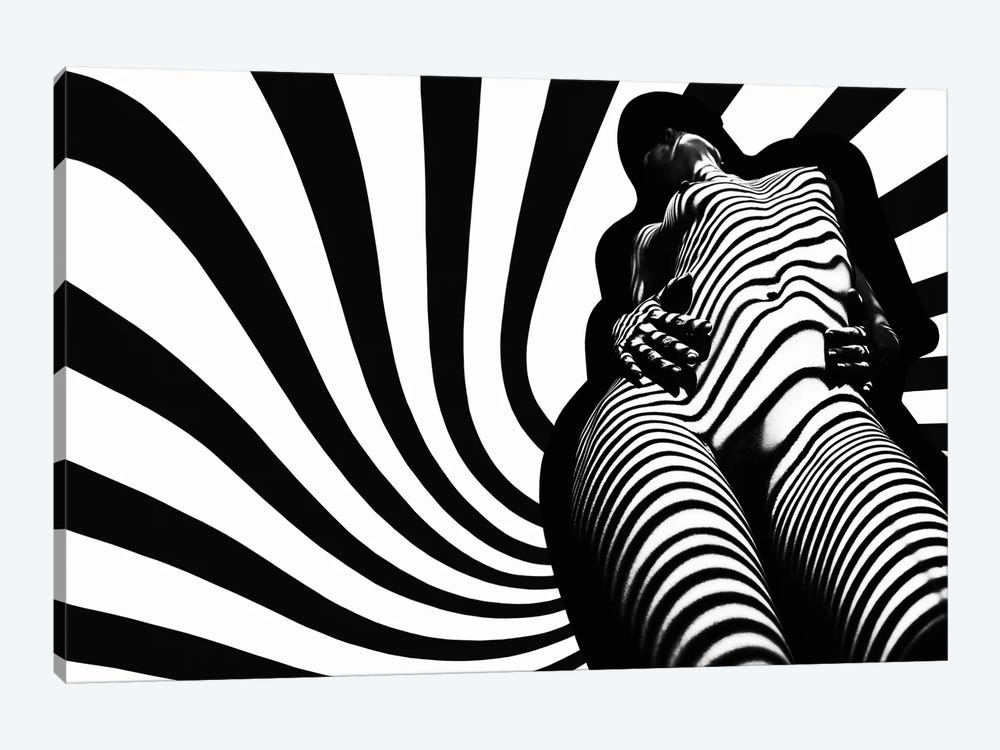 Zebra Absorption by Mikhail Faletkin 1-piece Canvas Print