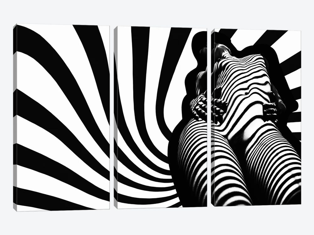 Zebra Absorption by Mikhail Faletkin 3-piece Canvas Print