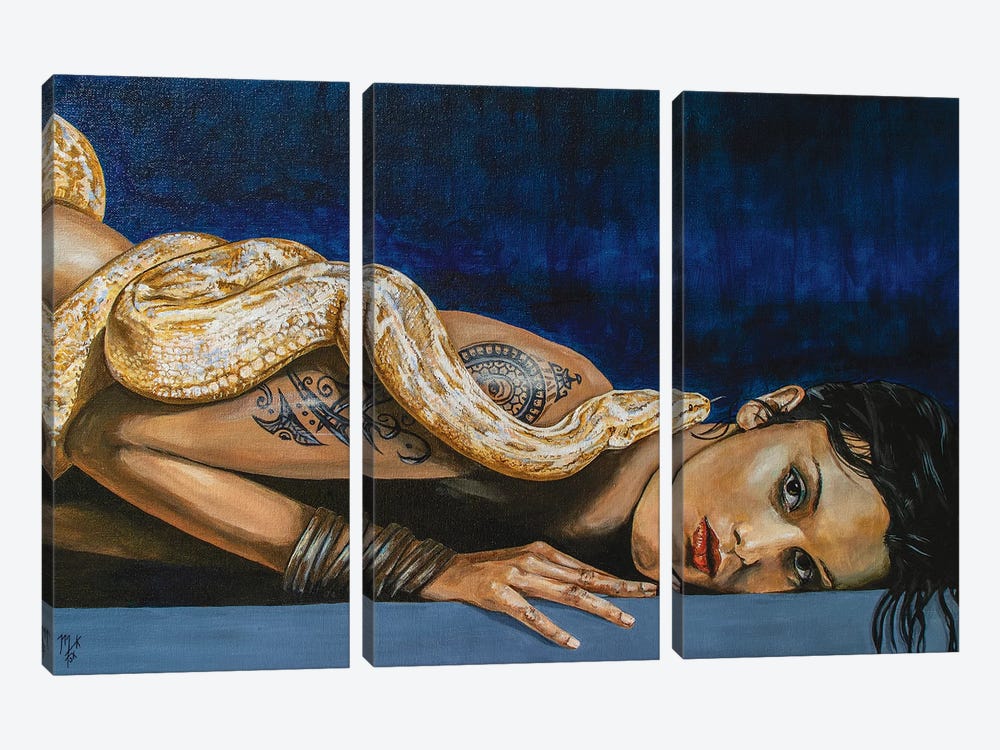 Smother by Mark Fox 3-piece Canvas Art Print