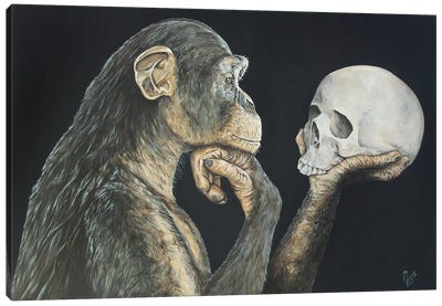 You've Come a Long Way, Haven't You? Canvas Art Print - Monkey Art