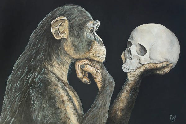 Mark Fox: You've Come a Long Way, Haven't You? by Mark Fox