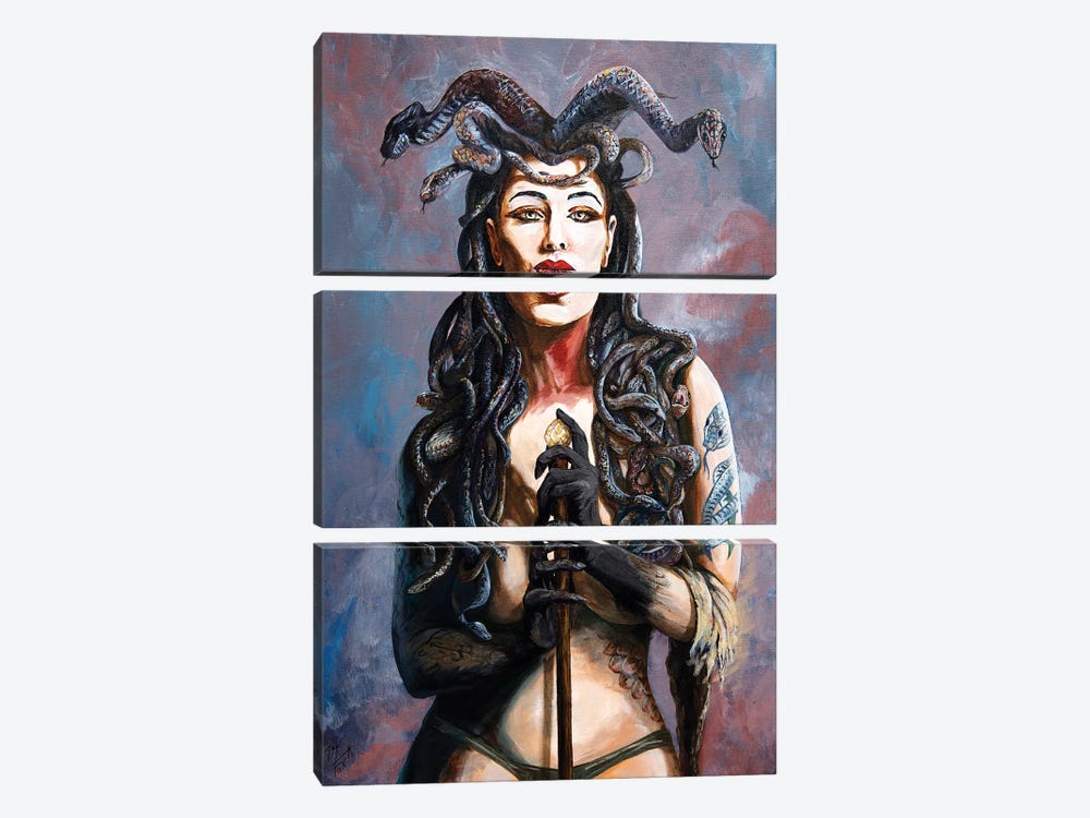 Contemplation Of The Gorgon by Mark Fox 3-piece Canvas Print