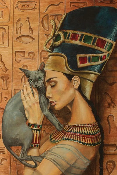 Hairless Cats: Serene Queen by Mark Fox