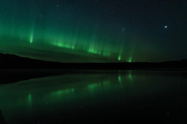 Aurora Borealis: Aurora Alaska by Melissa Findley