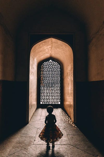 Windows: Silhouettes In Delhi by Melissa Findley