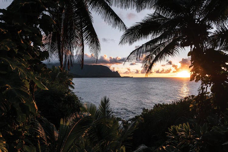 Kauai Views