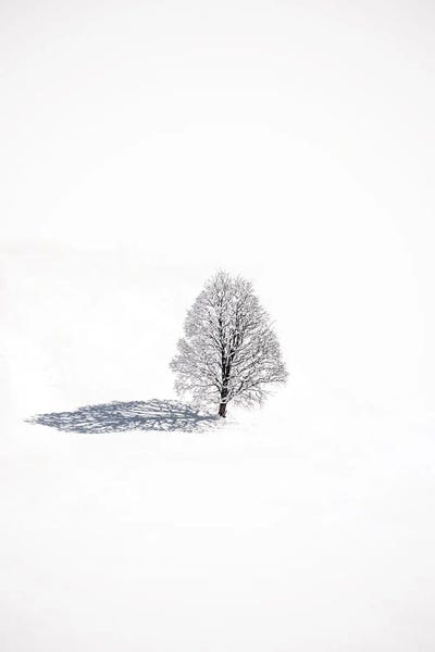 Melissa Findley: Swiss Winter by Melissa Findley