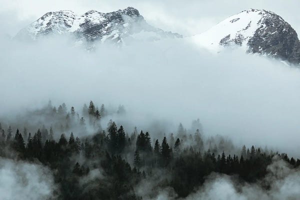 Mist & Fog: Gstaad Views by Melissa Findley