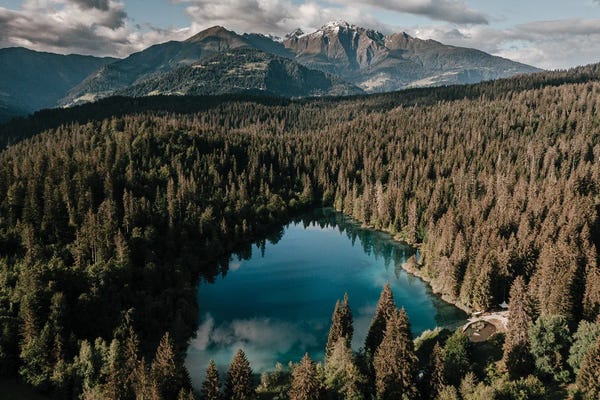 Nature Lover: Jewel Of Switzerland by Melissa Findley