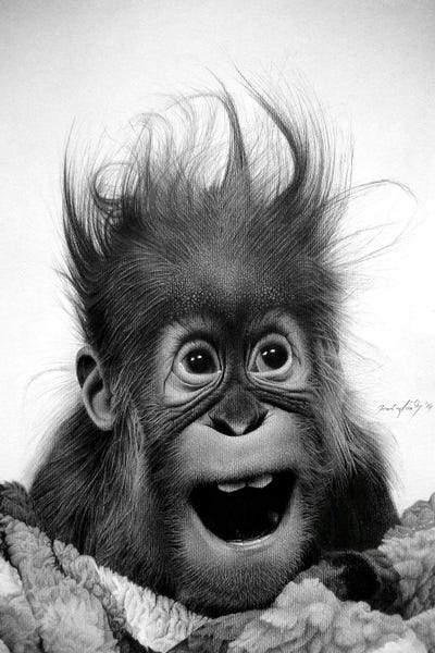 Primates: Don't Panic by Miro Gradinscak