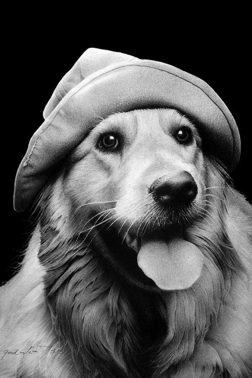 Scout by Miro Gradinscak wall art