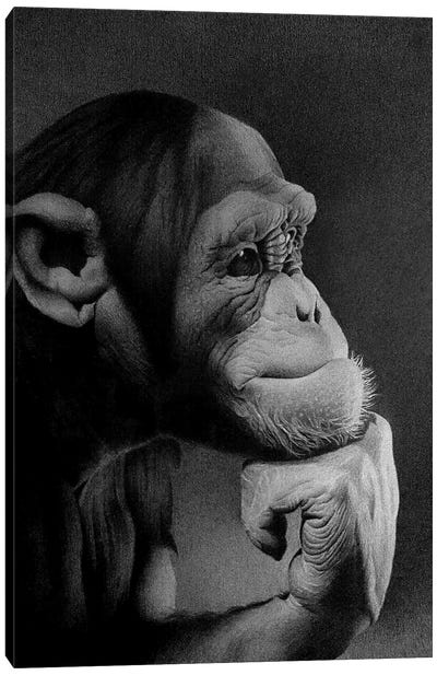 The Thinker Canvas Art Print - Chimpanzee Art