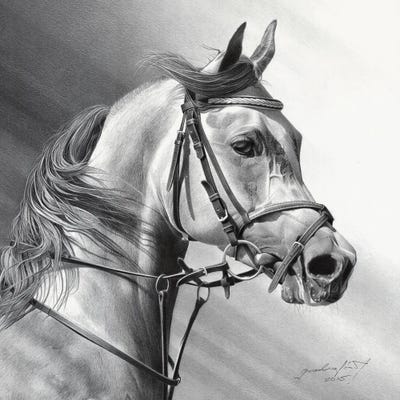 Arabian Beauty by Miro Gradinscak canvas print