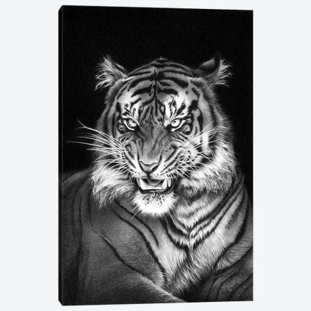 Panthera Tigris Canvas Print #MGC18} by Miro Gradinscak Canvas Print