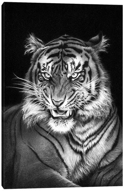 Panthera Tigris Canvas Art Print - Miro Gradinscak