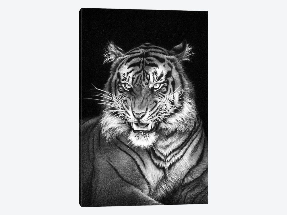 Panthera Tigris by Miro Gradinscak 1-piece Canvas Artwork