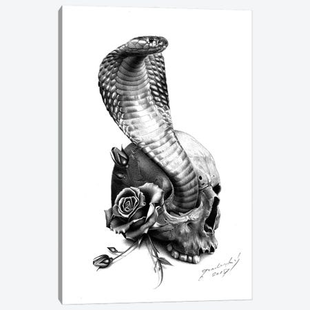 Cobra Canvas Print #MGC4} by Miro Gradinscak Art Print