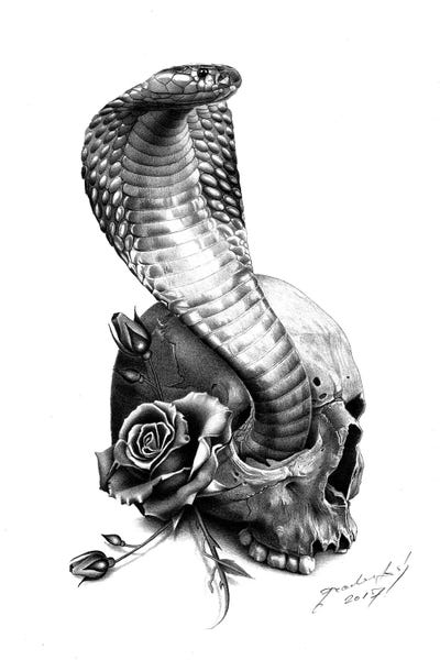 Black & White Florals: Cobra by Miro Gradinscak