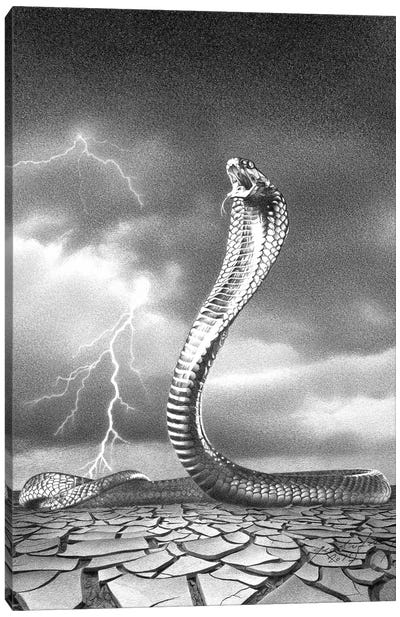 The Storm Is Coming Canvas Art Print - Lightning