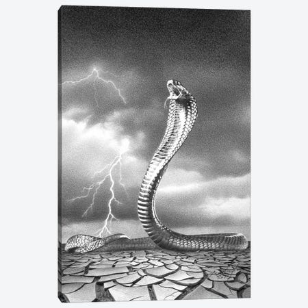 The Storm Is Coming Canvas Print #MGC5} by Miro Gradinscak Art Print