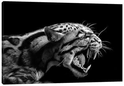 Anger Canvas Art Print - Jaguar Art