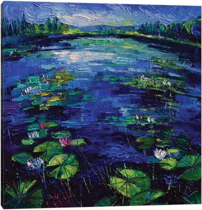 Water Lilies Magic Canvas Art Print - Mona Edulesco