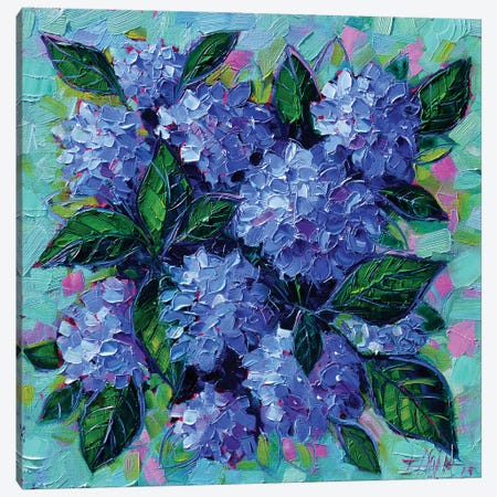 Blue Hydrangeas Canvas Print #MGE11} by Mona Edulesco Canvas Art Print