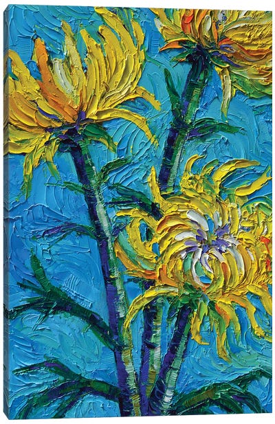 Chrysantemums Bouquet Canvas Art Print - Mona Edulesco