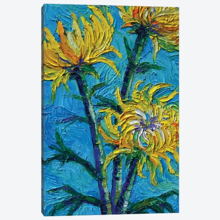 Chrysantemums Bouquet Canvas Print #MGE128} by Mona Edulesco Canvas Wall Art