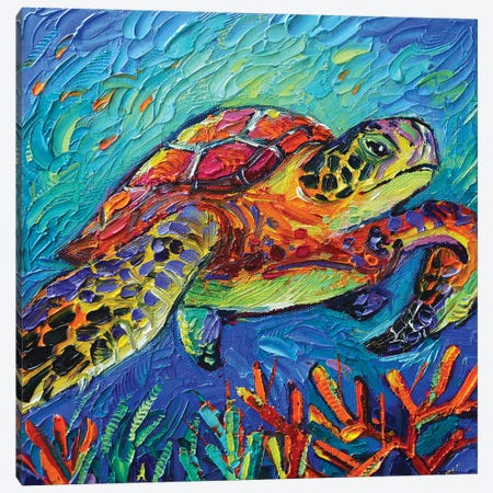Colorful Turtle Canvas Print #MGE132} by Mona Edulesco Canvas Print