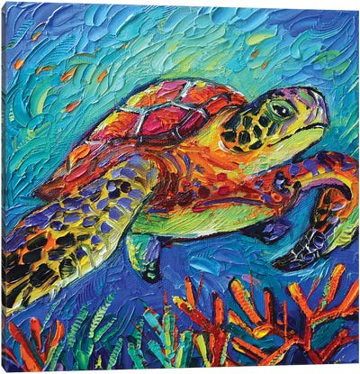 Colorful Turtle Canvas Art Print - Mona Edulesco