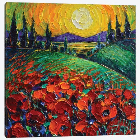 Poppyscape Sunset Canvas Print #MGE135} by Mona Edulesco Canvas Wall Art