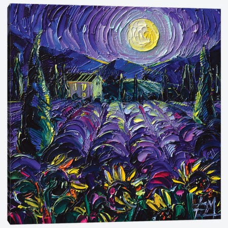 Provence Lavender Night Canvas Print #MGE136} by Mona Edulesco Canvas Artwork