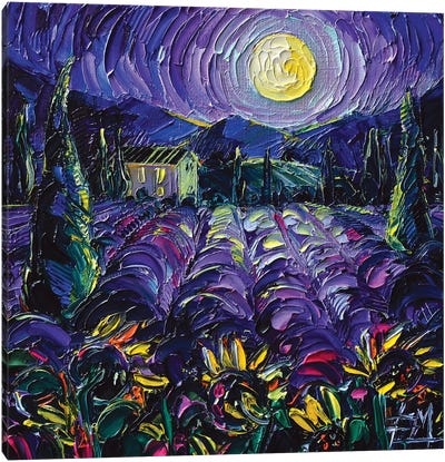 Provence Lavender Night Canvas Art Print - Landscapes in Bloom