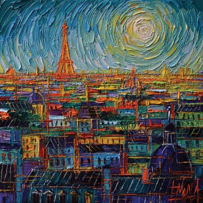 Paris Rooftops In Myriad Colors by Mona Edulesco framed wall art
