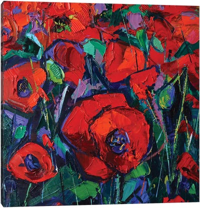 Hot Poppies Canvas Art Print - Mona Edulesco