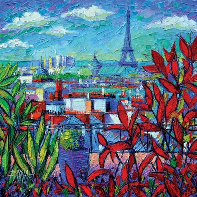 Paris Rooftops by Mona Edulesco framed wall art