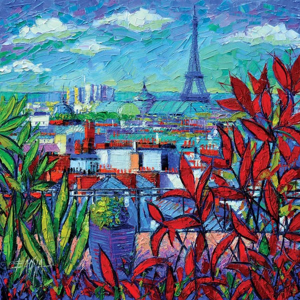 Mona Edulesco: Paris Rooftops by Mona Edulesco