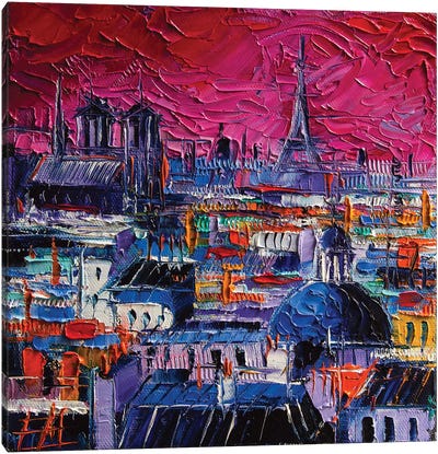 Parisian Roofs Canvas Art Print - Mona Edulesco