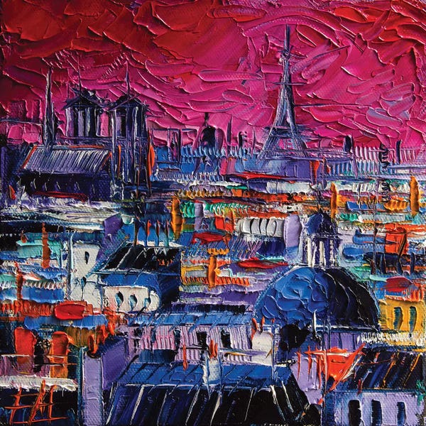 Mona Edulesco: Parisian Roofs by Mona Edulesco