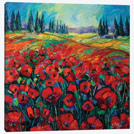 Poppies And Cypresses Canvas Print #MGE60} by Mona Edulesco Canvas Artwork