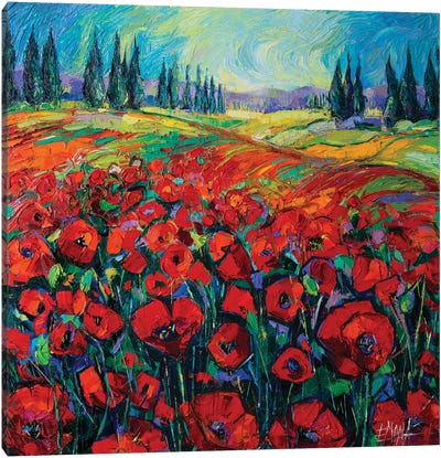 Poppies And Cypresses Canvas Art Print - Wildflowers
