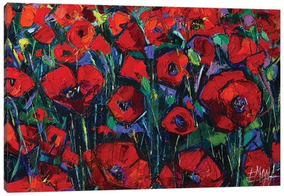 Poppies Symphony Canvas Art Print - Mona Edulesco