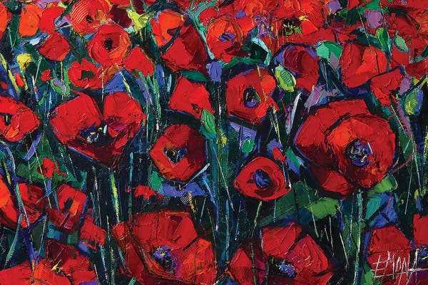 Poppies: Poppies Symphony by Mona Edulesco