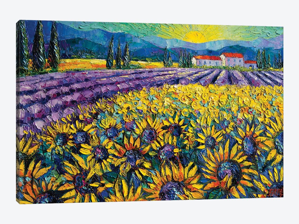 Sunflowers And Lavender Field - The Colors Of Provence by Mona Edulesco 1-piece Canvas Wall Art