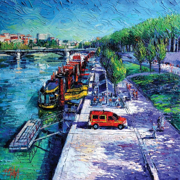 The Lively Banks Of Lyon by Mona Edulesco wall art
