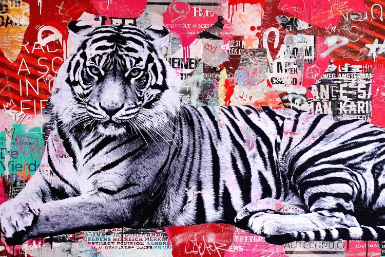 Tigerstyle I by Michiel Folkers wall art